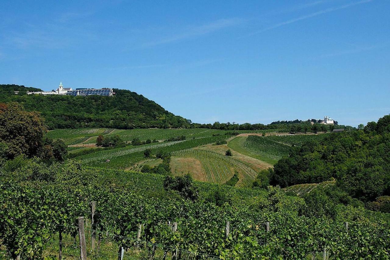 City - Kahlenberg *