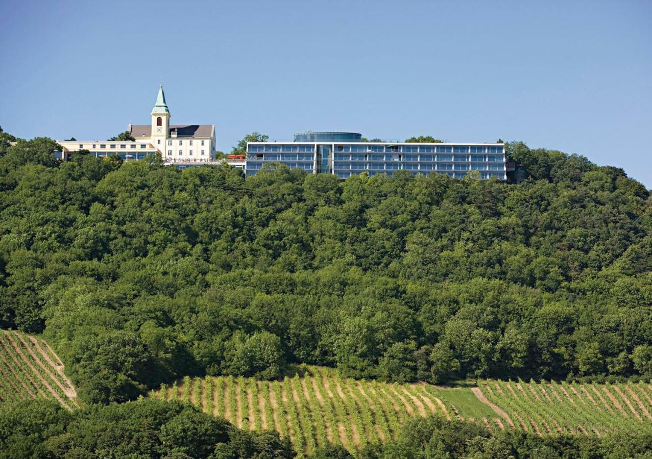 City - Kahlenberg Viena