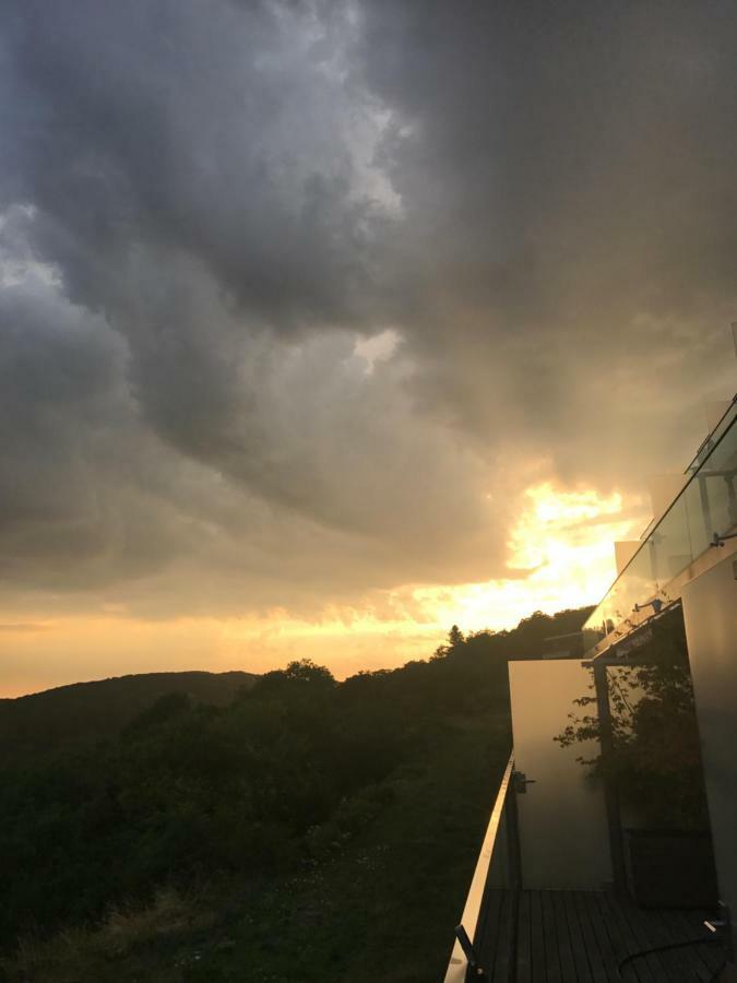 City - Kahlenberg Apartamento Viena
