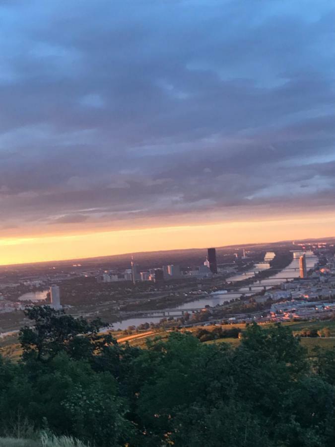 City - Kahlenberg *